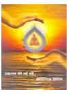 holistic
