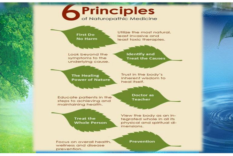 Infographic of the six principles of naturopathic medicine